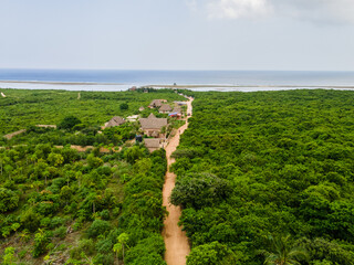 Dirt road crossing lush green vegetation in Zanzibar, Tanzania, leading to the ocean