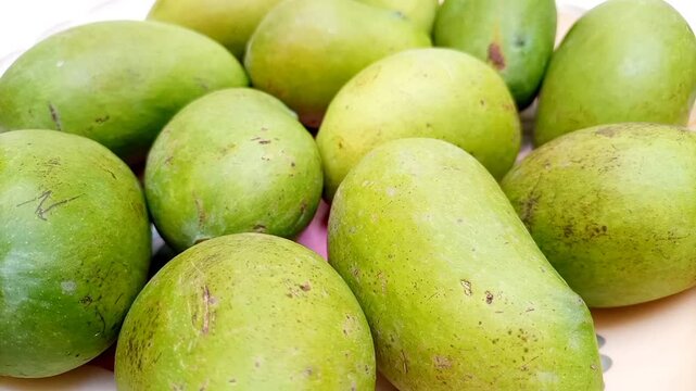 Fresh green mango fruits rotating, tropical fruit, unripe mangoes for pickle