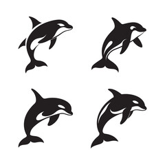 Orca Whale Jumping Out Of Water