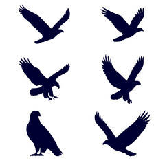 Obraz premium Set of 6 Eagle Silhouettes in Flight – High-Quality PNG with Transparent Background