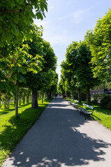 Tourists relax on a green lawn in a park, Vienna, Austria