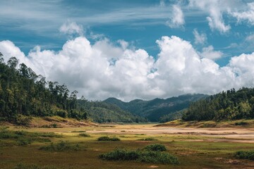 Fototapeta premium Wide shot of the dry land