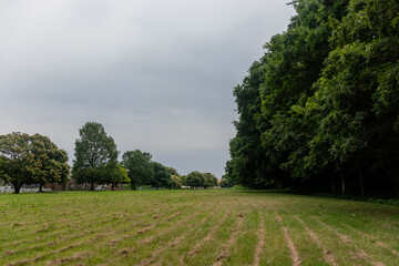 Park scenery on a slightly cloudy day.