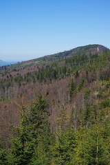 Mount in Silesian Beskids near Szczyrk town in Poland - vertical