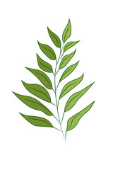 Fototapeta premium Simple plant illustration. Green plant. Leaves. Green leaves. Minimalist plant illustration