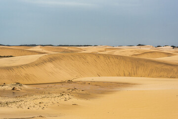 Dunes and lagoons of Atins, Lencois Maranhenses, Barreirinhas, Brazil. White sand dunes with pools...