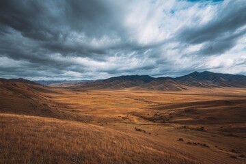 Naklejka premium ngle photo of the vast expanse under gray clouds