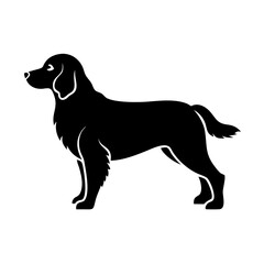 Silhouette of a standing dog with long fur in a side view during a quiet afternoon