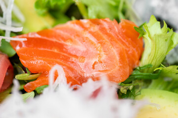 Fresh salmon sashimi served on a bed of mixed greens, garnished with shredded daikon radish and avocado slices. Vibrant colors, rich textures, and a gourmet presentation
