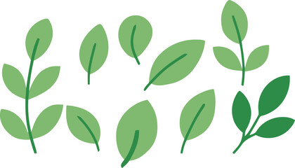 Naklejka premium Collection of green leaf vectors. Transparent background. 
