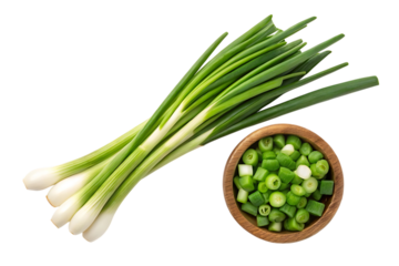 Fresh green onions and chopped scallions in bowl on transparent background