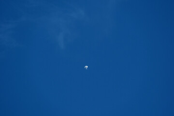balloons in the blue sky on a clear day. Blue background.