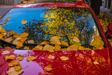 Autumn leaves on red car windshield in city. Yellow autumn leaves scattered across red car windshield reflecting trees, sky. Concept of seasonal contrast, urban autumn, bright reflective moment