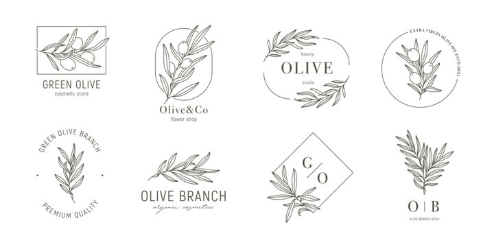 Minimal olive logo templates with olive branches in trendy linear style. Vector leaves and olive fruits