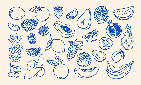 Hand drawn sketch fruits  and berries vector illustration. Natural tropical fruits. Dragon fruit, papaya, pineapple, watermelon, melon, coconut, citrus, grape, lemon, banana, pomegranate, fig, banana.