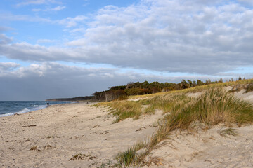 Traumhafter Sand Strand mit Dünen und Küstenwald bei Ahrenshoop, Fischland Zingst-Darß, Mecklenburg-Vorpommern