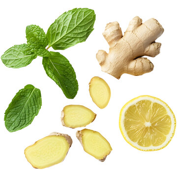 mint leaf  with ginger and lemon