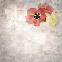 square stylish old textured paper background with flowers of Hibiscus tiliaceus, coast hibiscus
