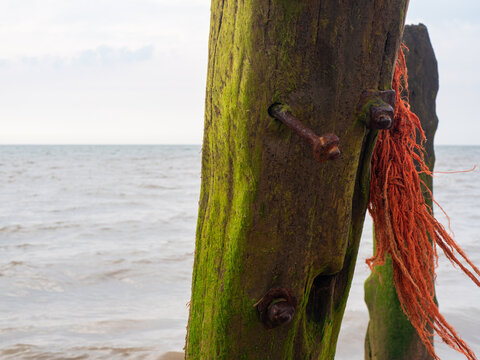 Close-up of a weathered wooden post, vibrant with green moss and featuring a rusty bolt and tangled orange rope, standing against the blurred sea