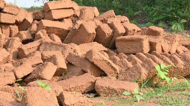 Raw clay bricks have soaked in water.
Sun dried mud bricks, ruined by getting soaked in rain water. Bricks production.
