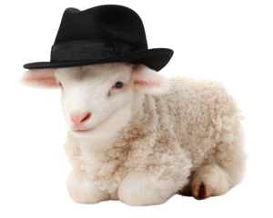 Cute lamb wearing stylish black hat, sitting comfortably on transparency background. This adorable animal exudes charm and playfulness, making it delightful subject for any audience