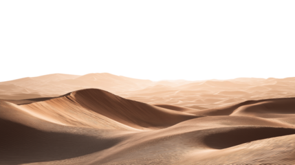 Desert landscape with sand dunes  isolated on white background