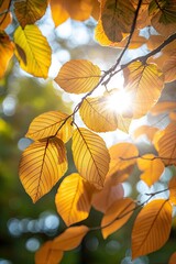 Autumn background with yellow, golden and orange leaves