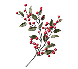 Detailed close-up of a branch with vibrant red berries and green leaves