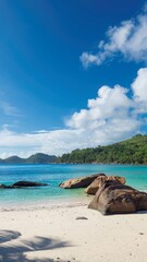 tropical beach with blue sky