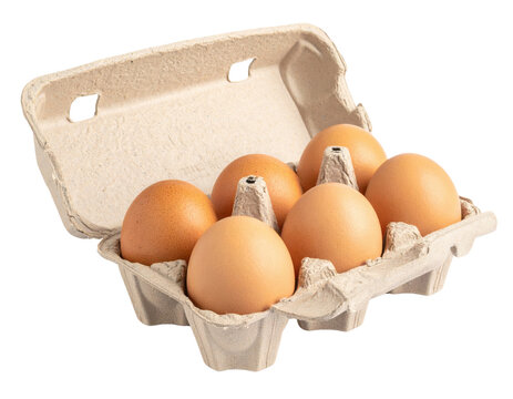 A carton holding six brown eggs arranged neatly in individual compartments inside a cardboard egg tray.