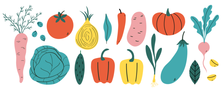 Vegetables in cartoon style on isolated background vector illustration. Set with carrot, cabbage, tomato, capers, potato, pumpkin, radish, onion, garlic, pepper, paprika, cucumber, greens, eggplant