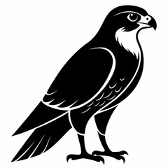 peregrine black Silhouette vector on white background