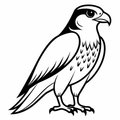 peregrine outline vector on white background