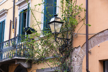 Window of an old house with closed green shutters. Old house with a shabby wall and bushes under...