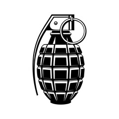 vector illustration of a bomb