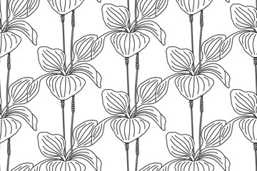 Line art botanical plantain bushes seamless pattern vector illustration. Black outline repeating plantain leaves and flowers plants in white background. Graphic design for Fashion Cover Textile Card © cosveta