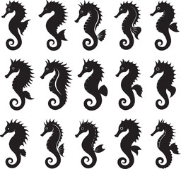 set of seahorse silhouette, black and white silhouette, vector and illustration