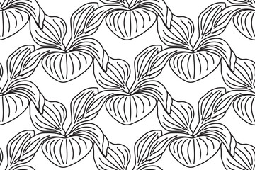 Line art botanical plantain bushes seamless pattern vector illustration. Black outline repeating plantain leaves plants in white background. Graphic design for Fashion Cover Textile Wedding Print Book