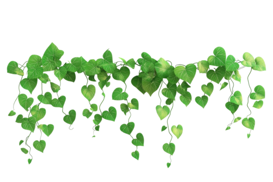 green leaves background