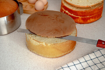 Sponge cake. Shortcakes. Cut sponge cake in half with knife in kitchen. Cooking baking round vanilla sponge cake or chiffon cake, two cut layers with texture. Homemade culinary, dessert. preparation