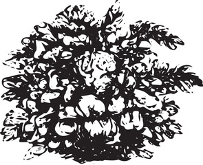 Obraz premium A striking black and white illustration of a dense, leafy bush with intricate textures, perfect for nature-themed designs, posters, or digital art. This detailed, abstract foliage pattern adds a bold
