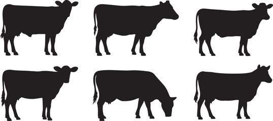 Three Abstract Black Spine Illustrations on White