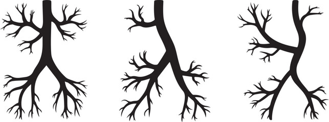 Obraz premium Parotid Gland Anatomy Illustration Three Views