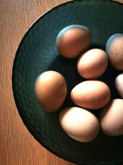Organic Guinea Fowl Eggs in Blue Ceramic Plate – Top View