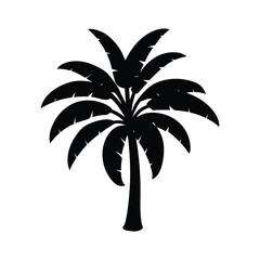 Obraz premium palm tree isolated on white