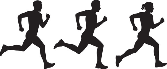 Male Human Anatomy Pelvis Bone Structure Illustration