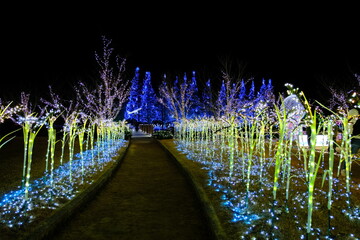かわちイルミネーション　茨城県