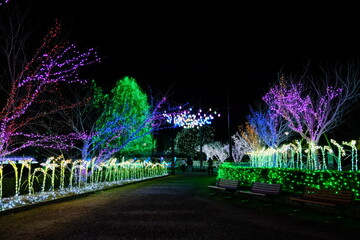 かわちイルミネーション　茨城県