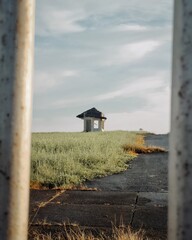 Old wooden house on a hill, its ancient roof peeking through trees against a summer sky with flying birds and distant clouds, blending nature and architecture