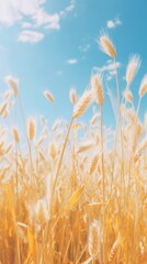 Obraz premium Summer wallpaper agriculture outdoors nature.